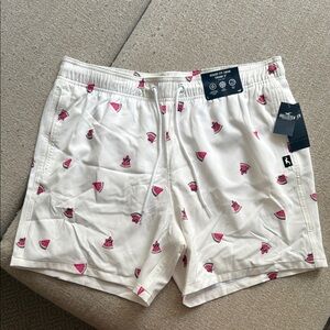 Hollister Men’s Bathing Suit